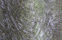 Ufton Nervet fibreglass roof work